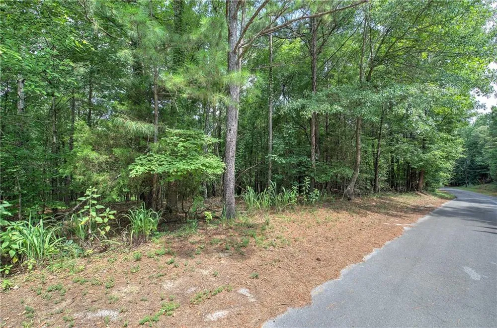0 Weissinger Road Kingston, GA 30145
