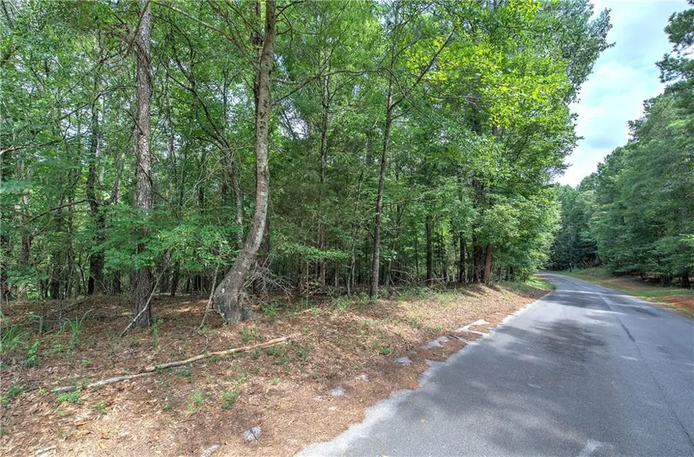 0 Weissinger Road Kingston, GA 30145