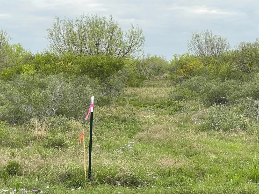 5 Pr Frio Estates Drive Moore, TX 78057