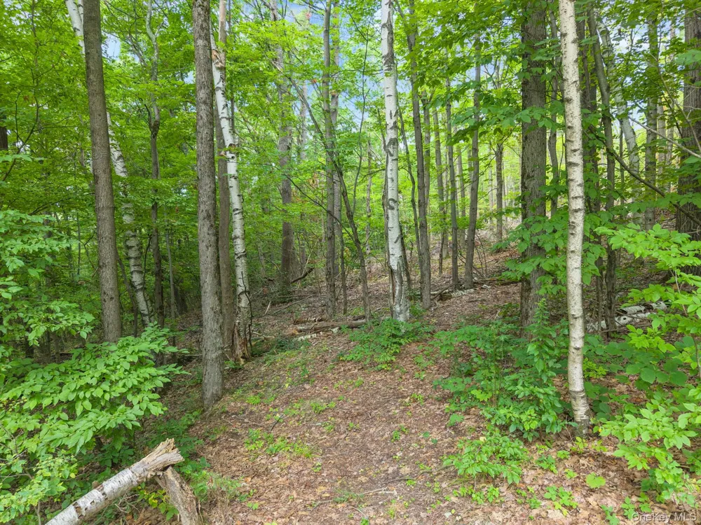 567 Cotton Hill Rd Middleburgh NY Call Listing Agent, NY 12122