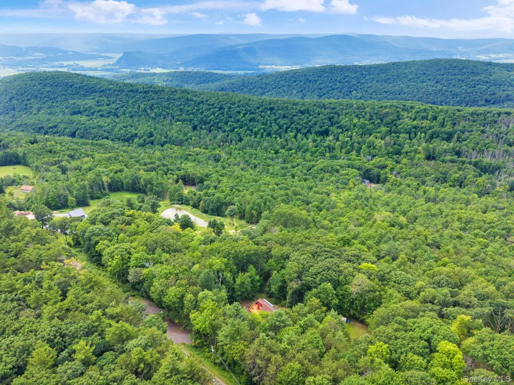 567 Cotton Hill Rd Middleburgh NY Call Listing Agent, NY 12122