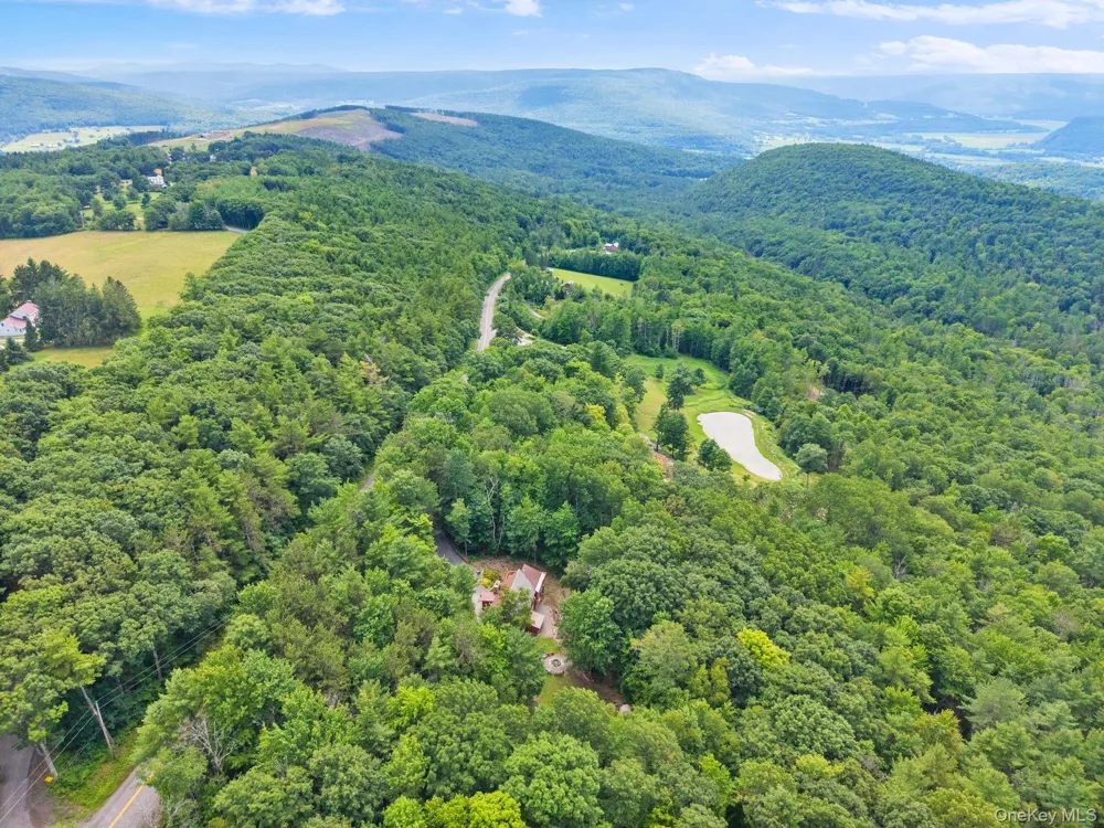 567 Cotton Hill Rd Middleburgh NY Call Listing Agent, NY 12122