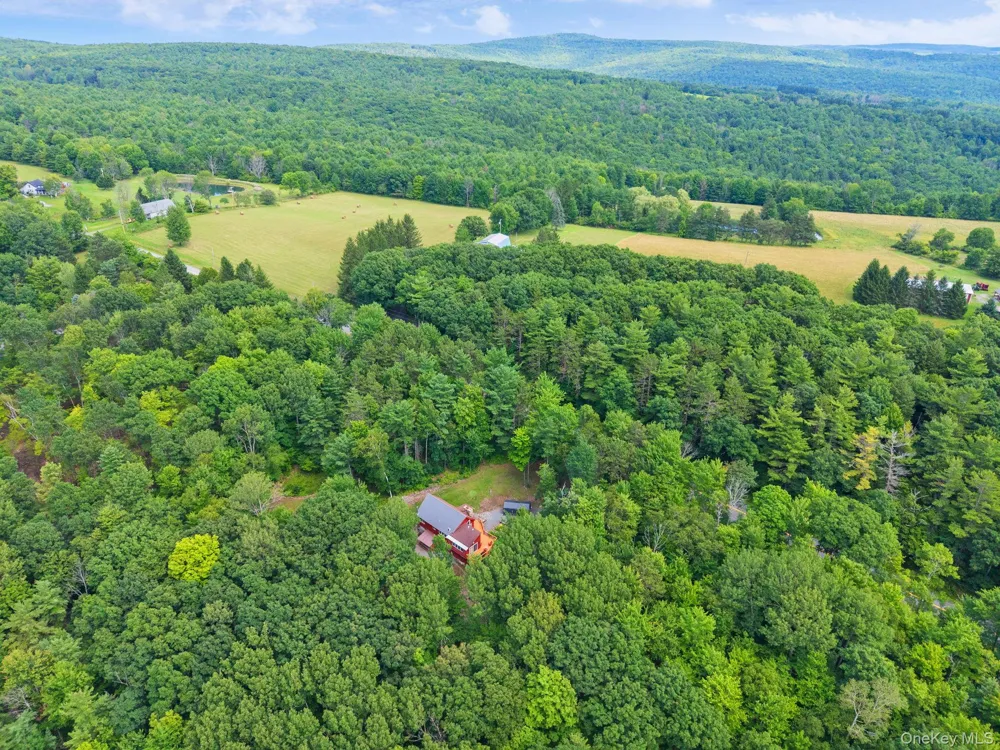 567 Cotton Hill Rd Middleburgh NY Call Listing Agent, NY 12122
