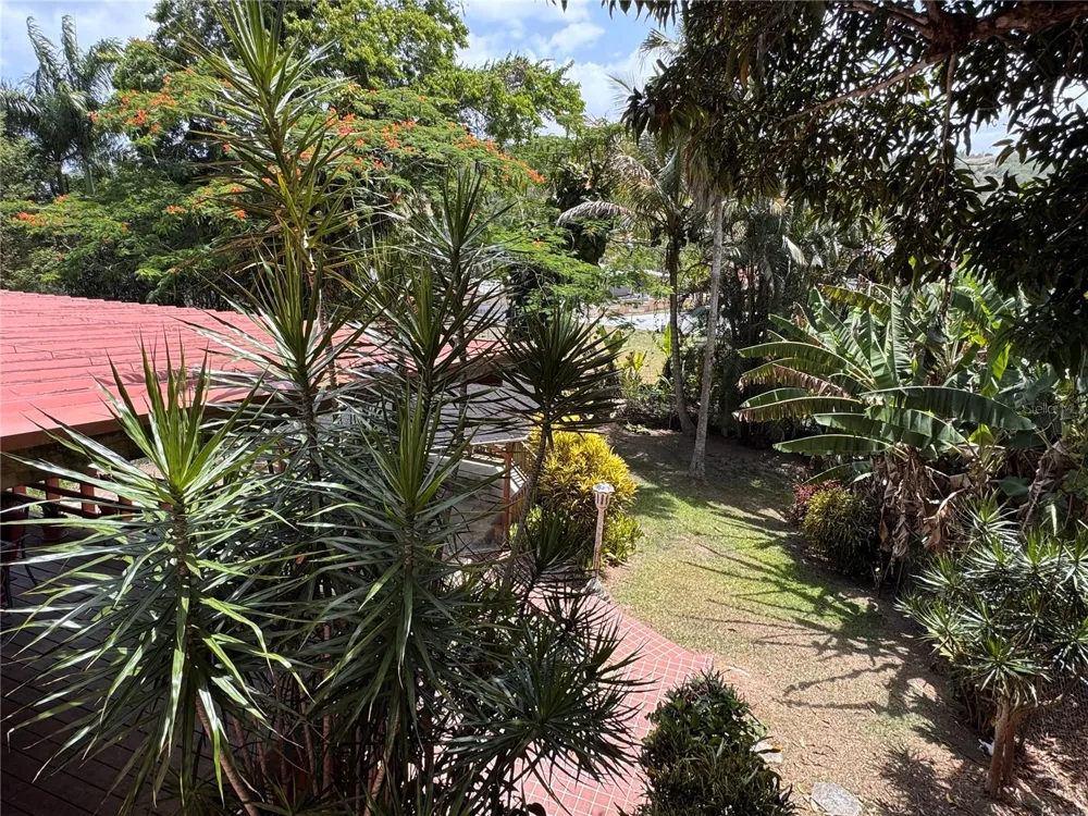 Address Not Shown Aibonito, PR 00705