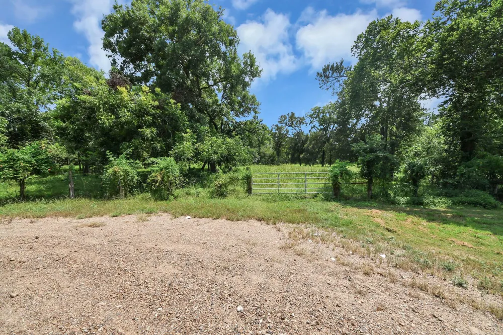 Padre Ct Needville, TX 77461