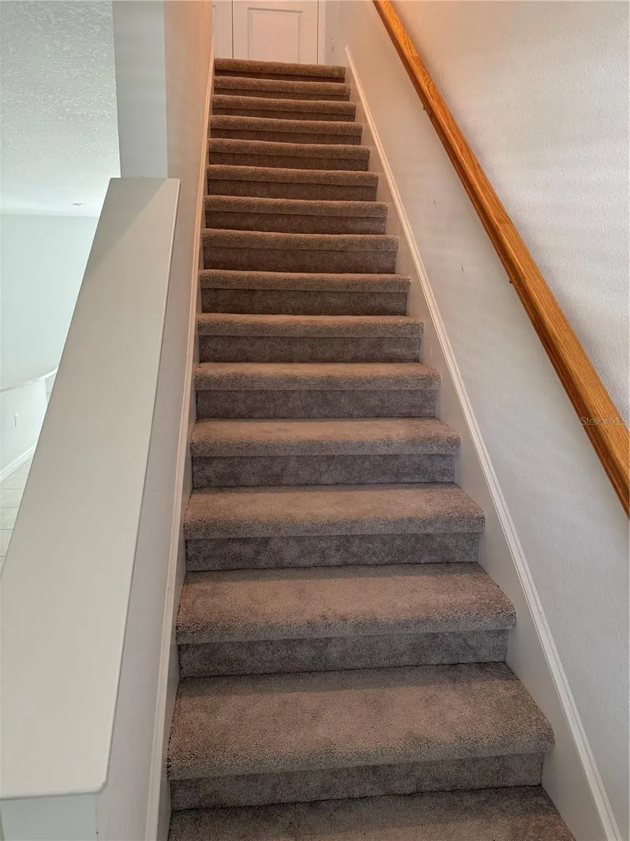 9052 DRIVEN SNOW STREET Sarasota, FL 34241