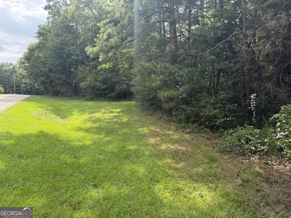 0 County Road 82 Newell, AL 36280