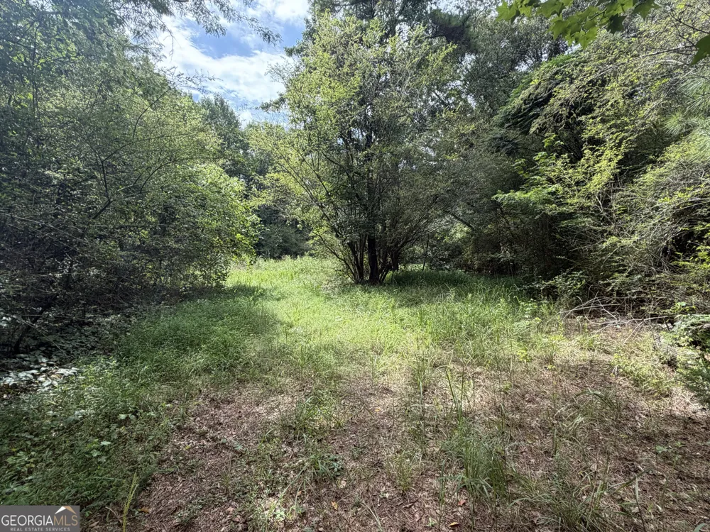 0 County Road 82 Newell, AL 36280