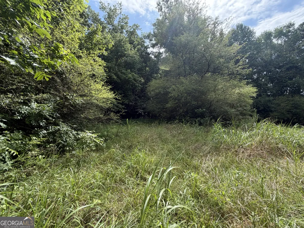 0 County Road 82 Newell, AL 36280