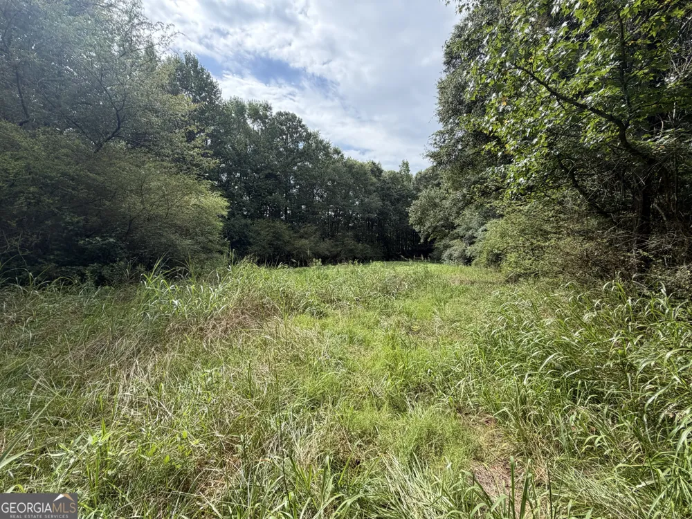 0 County Road 82 Newell, AL 36280