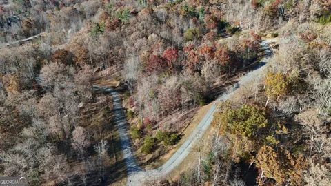 LOT 196 Springwinds DR