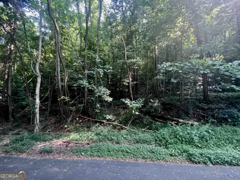 LOT 13 Chalet DR