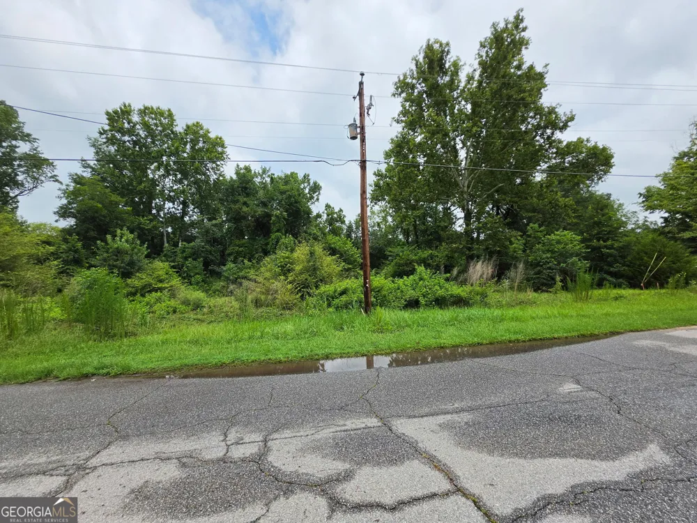 0 Broad ST Warm Springs, GA 31830