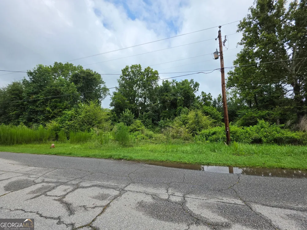 0 Broad ST Warm Springs, GA 31830