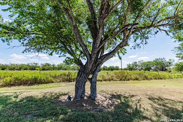 280 County Road 322 La Vernia, TX 78121