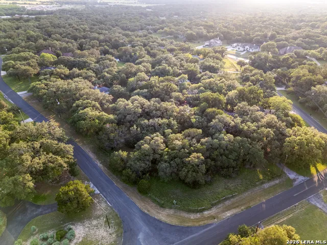 30725 ONION CRK Bulverde, TX 78163