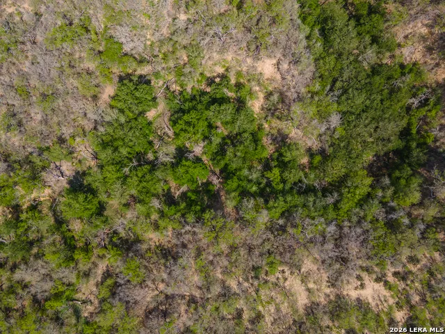 4984 S Loop 1604 E Elmendorf, TX 78112