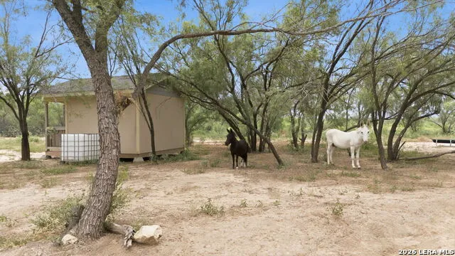 1083 CR 6610 Devine, TX 78016