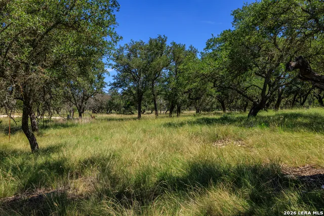 429 Spanish Oak Harper, TX 78631