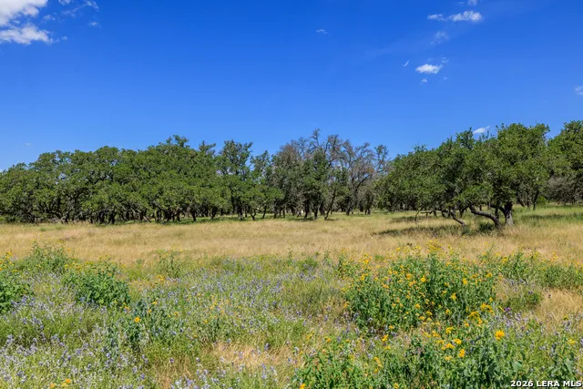 429 Spanish Oak Harper, TX 78631