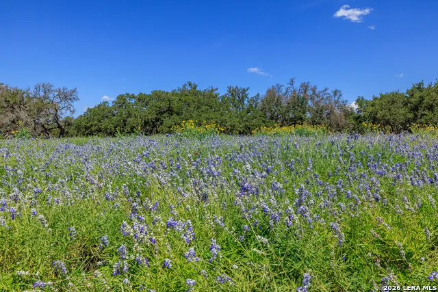 429 Spanish Oak Harper, TX 78631