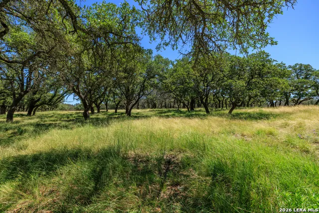 429 Spanish Oak Harper, TX 78631