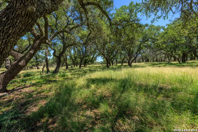 429 Spanish Oak Harper, TX 78631