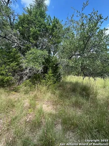 TBD LOT 4 Royal Eagle Fischer, TX 78623