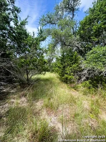 TBD LOT 4 Royal Eagle Fischer, TX 78623
