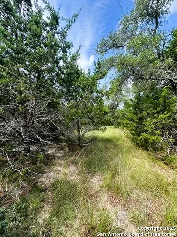 TBD LOT 4 Royal Eagle Fischer, TX 78623