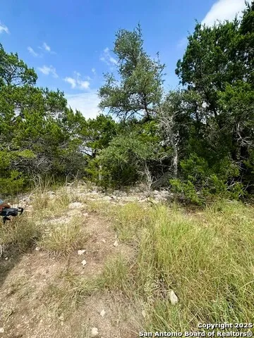 TBD LOT 4 Royal Eagle Fischer, TX 78623