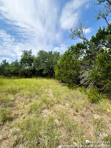 TBD LOT 4 Royal Eagle Fischer, TX 78623
