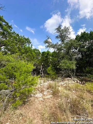 TBD LOT 4 Royal Eagle Fischer, TX 78623