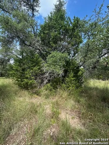 TBD LOT 4 Royal Eagle Fischer, TX 78623