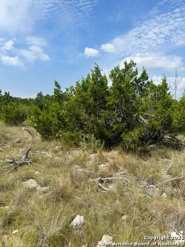 TBD LOT 1 Soaring Eagle Fischer, TX 78623