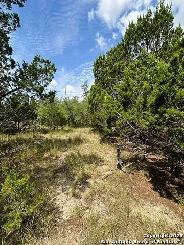TBD LOT 1 Soaring Eagle Fischer, TX 78623