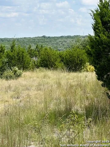 TBD LOT 1 Soaring Eagle Fischer, TX 78623