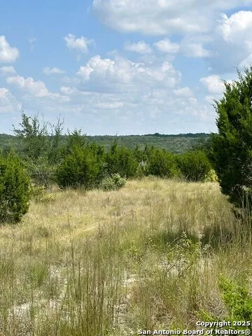 TBD LOT 1 Soaring Eagle Fischer, TX 78623