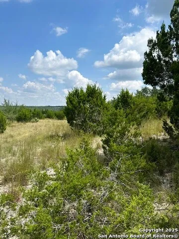 TBD LOT 1 Soaring Eagle Fischer, TX 78623