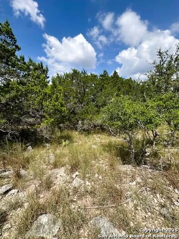 TBD LOT 2 Soaring Eagle Fischer, TX 78623