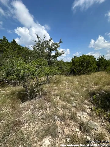 TBD LOT 2 Soaring Eagle Fischer, TX 78623