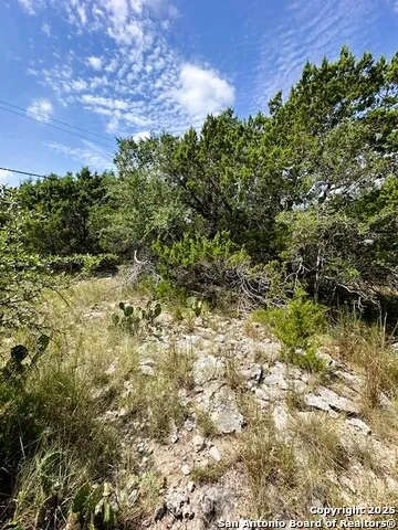 TBD LOT 2 Soaring Eagle Fischer, TX 78623