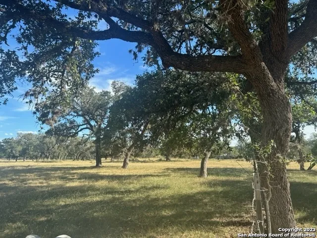 373 Pine Tree Rd Medina, TX 78055