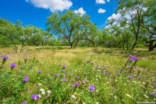 883 FM 1773 Menard, TX 76859