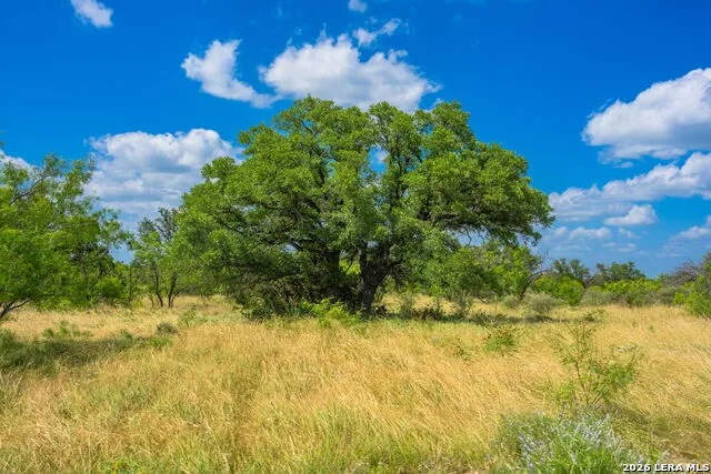 883 FM 1773 Menard, TX 76859