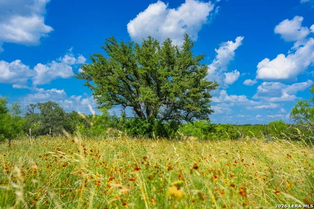 883 FM 1773 Menard, TX 76859