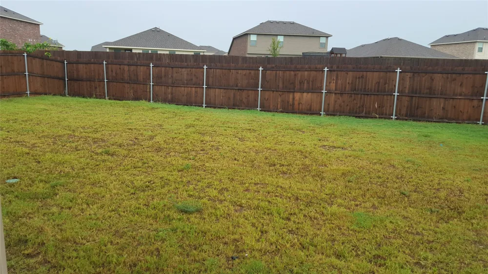 319 Elam Drive Anna, TX 75409