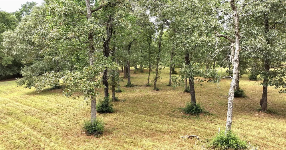 26161 Crown Ranch Boulevard Montgomery, TX 77316