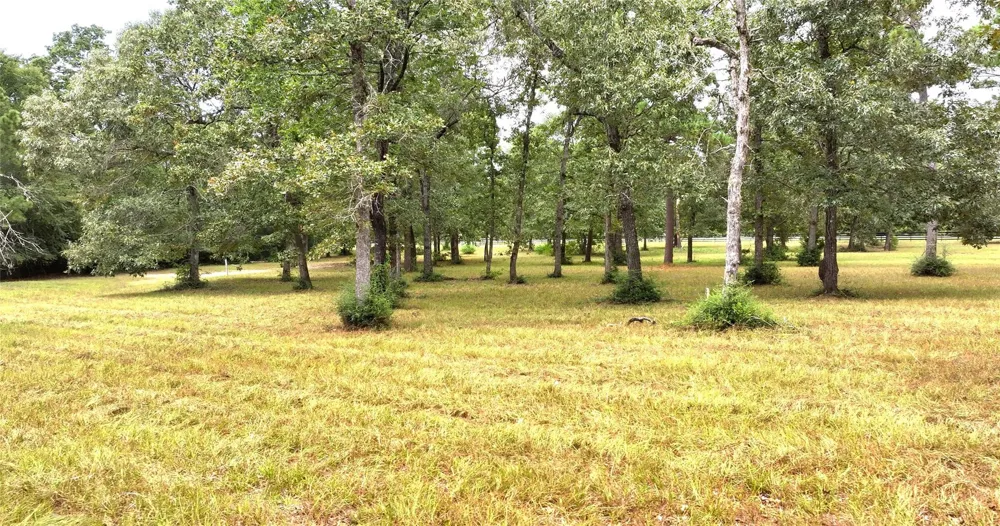 26161 Crown Ranch Boulevard Montgomery, TX 77316