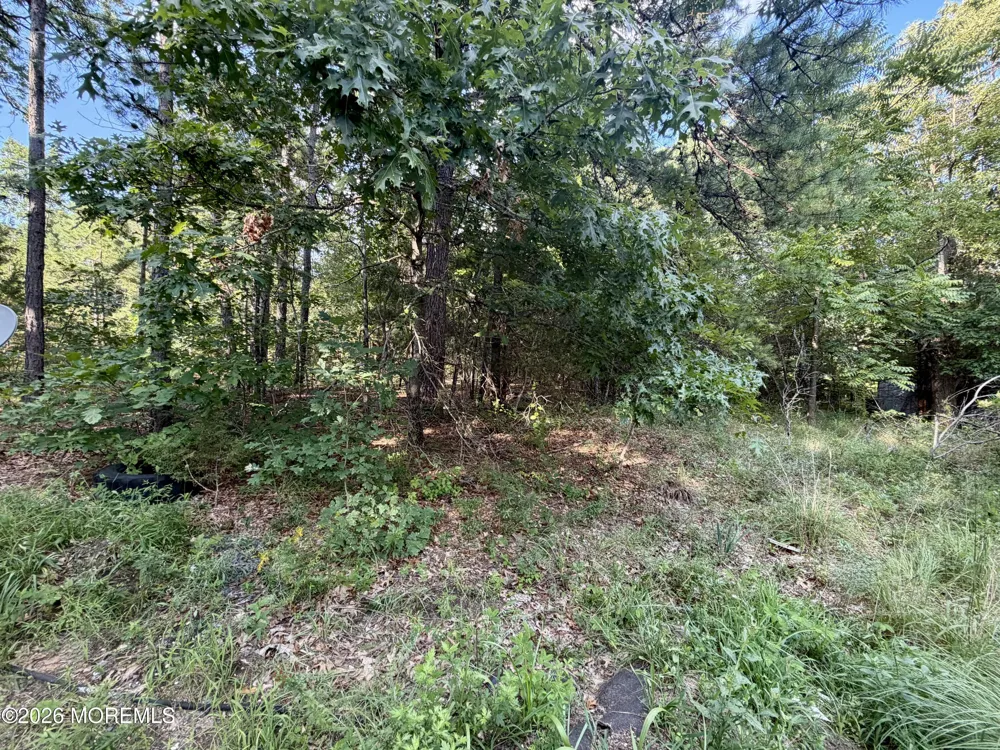 Lakehurst Avenue Jackson, NJ 08527